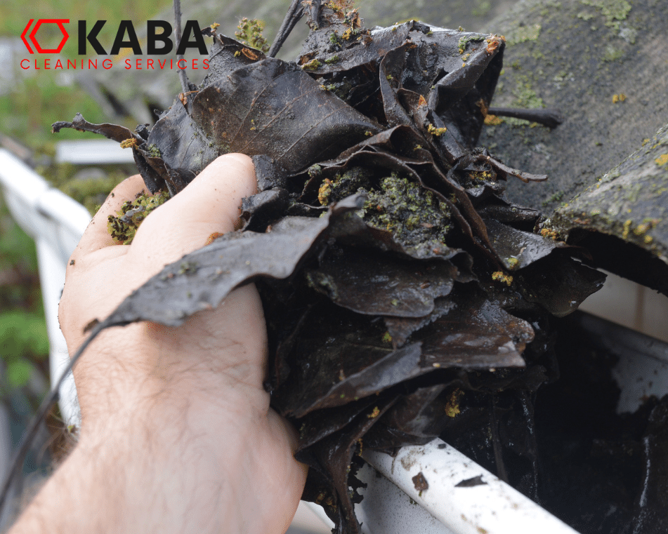 dakgootreiniging - beringen - kaba cleaning (951 x 761 px)