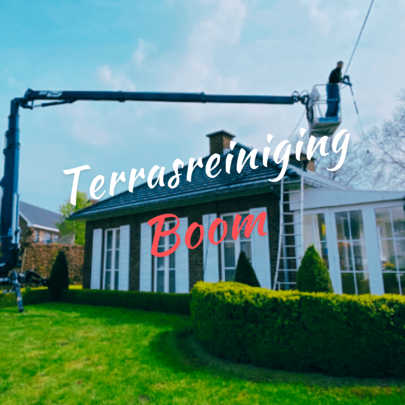 Terrasreiniging Boom